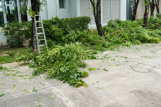 Best Lawn Maintenance Plans  in Gladeview, FL
